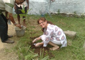 Plant a tree-1